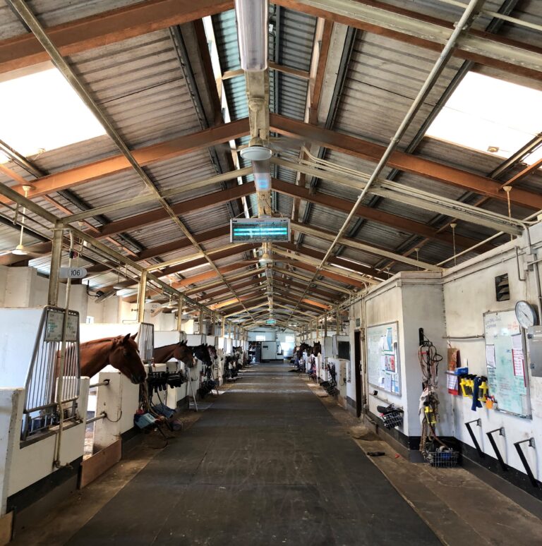 BYME - Stable at Beas River Equestrian Centre